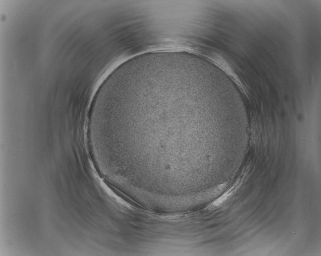 X0000067481484200604071126