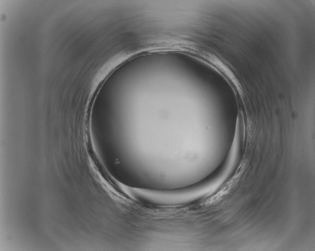 X0000067481485200604071126