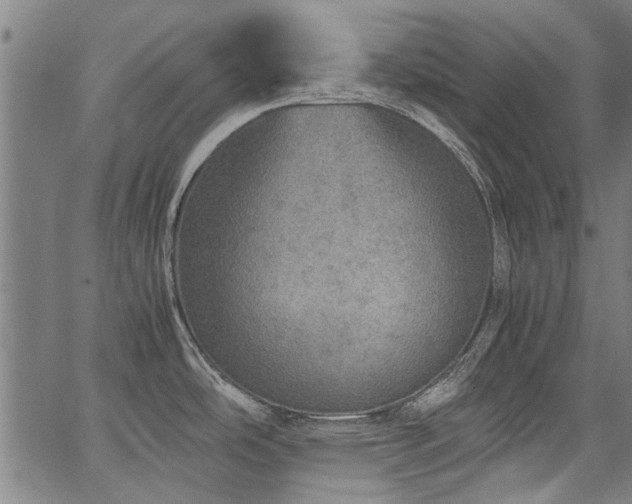 X0000067481486200604071126