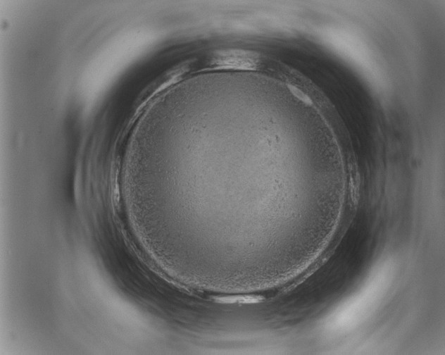 X0000067481487200604071126