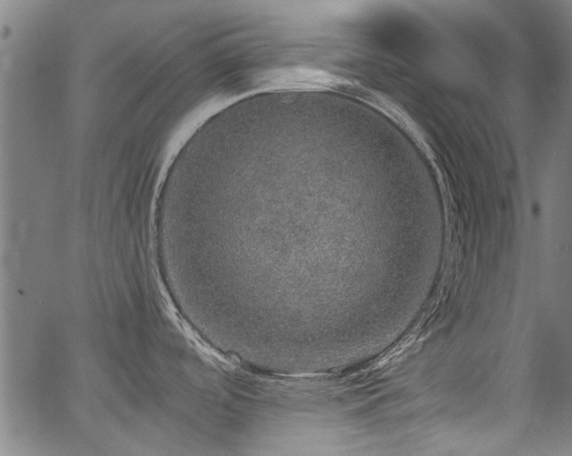 X0000067481488200604071126