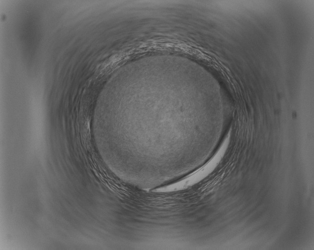 X0000067481489200604071125