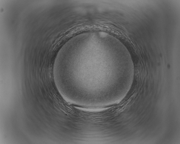 X0000067481490200604071125