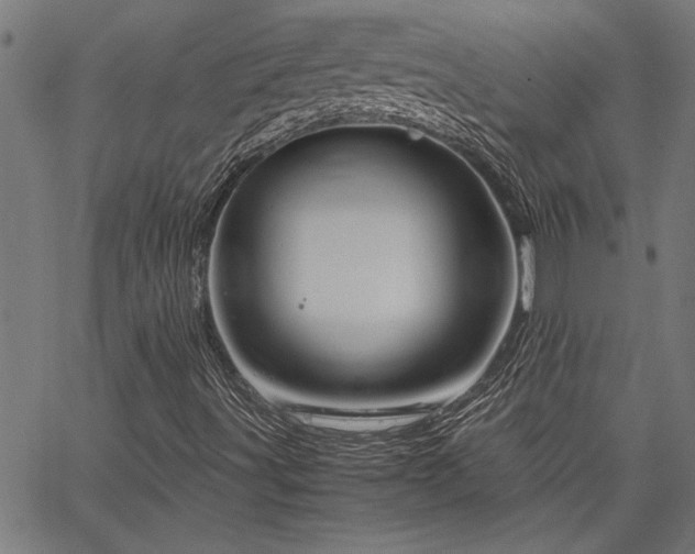 X0000067481491200604071125