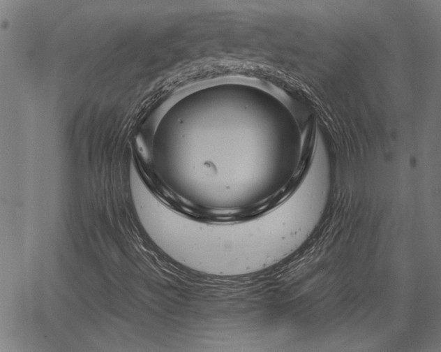 X0000067481492200604071125