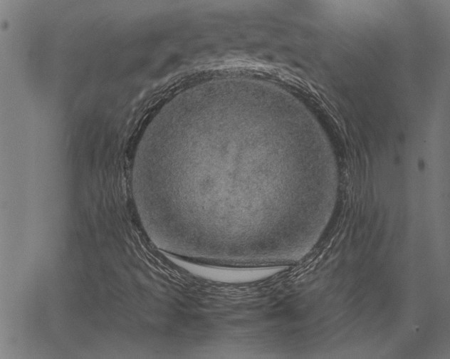 X0000067481493200604071125