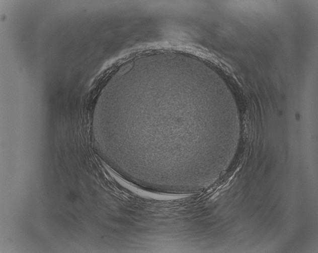 X0000067481494200604071125