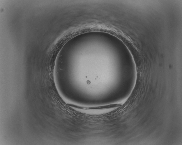 X0000067481495200604071125