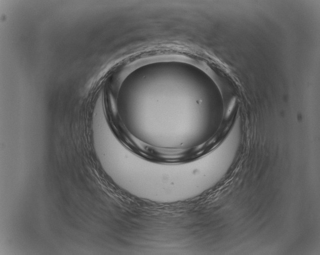 X0000067481496200604071125