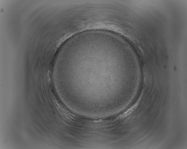 X0000067481497200604071125