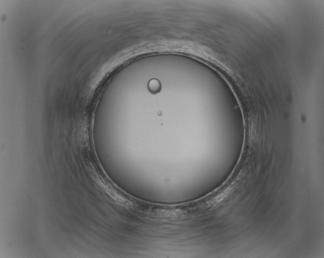 X0000067481498200604071125