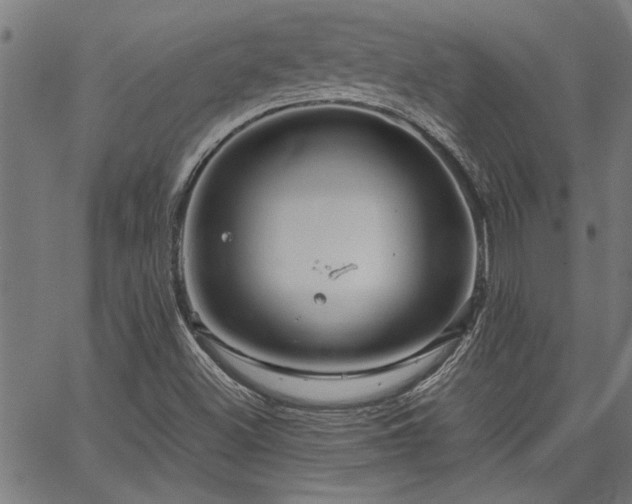 X0000067481500200604071125