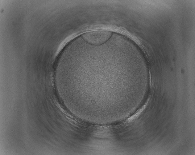 X0000067481501200604071125