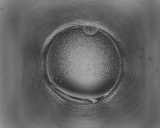 X0000067481502200604071125