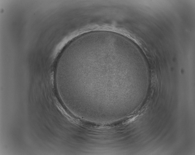 X0000067481503200604071125