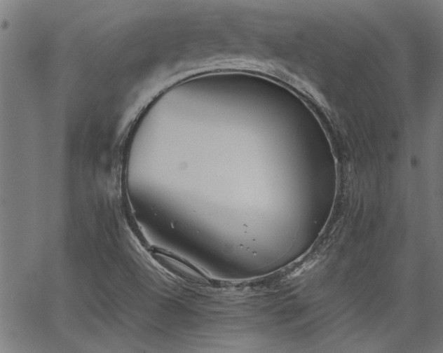 X0000067481504200604071125