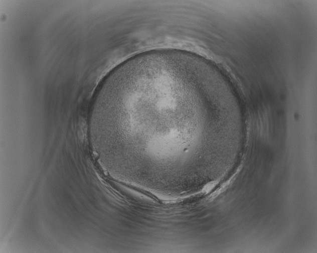 X0000067481505200604071125