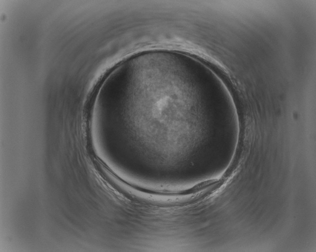 X0000067481506200604071125