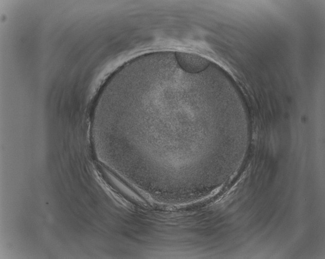 X0000067481507200604071126