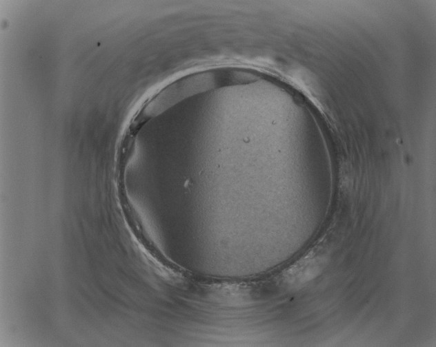 X0000067481508200604071126