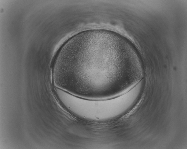 X0000067481509200604071126