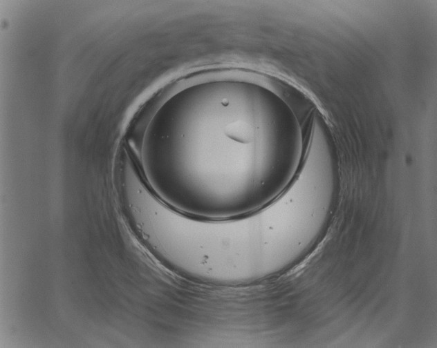 X0000067481510200604071126