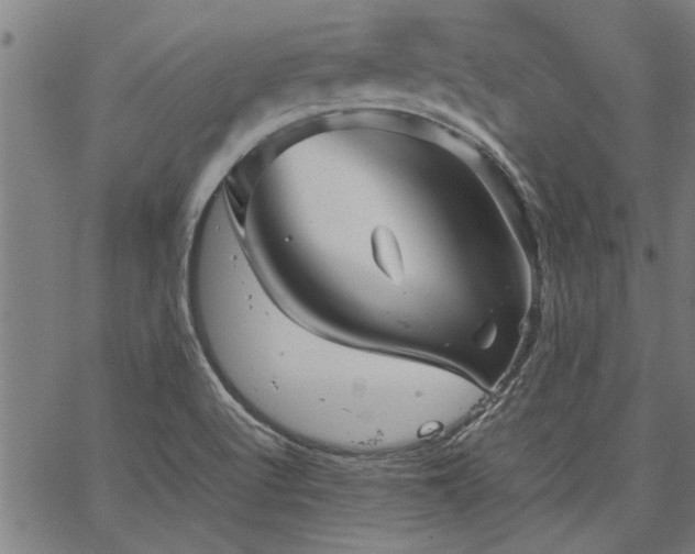 X0000067481512200604071126