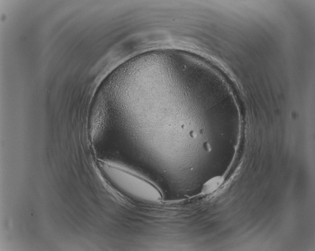 X0000067481513200604071126