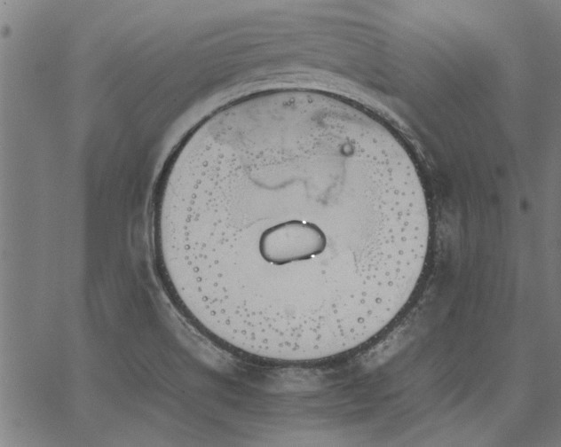 X0000067481514200604071126