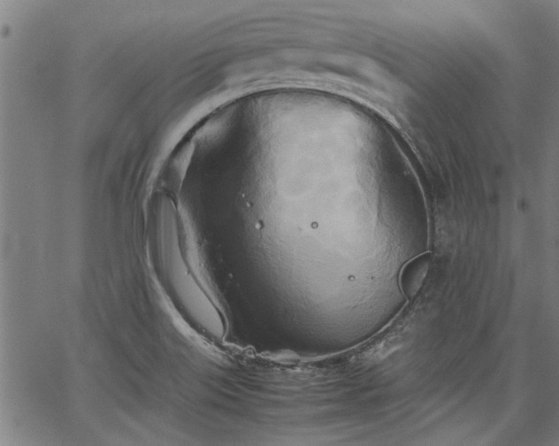 X0000067481515200604071126