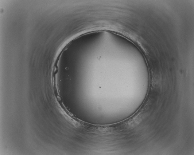 X0000067481516200604071126