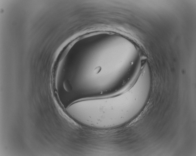 X0000067481518200604071126