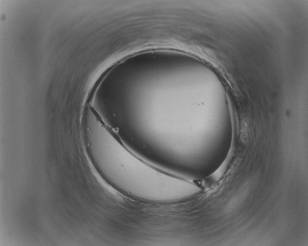 X0000067481519200604071126