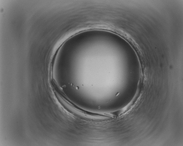 X0000067481520200604071126