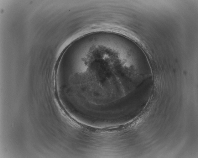 X0000067481522200604071126