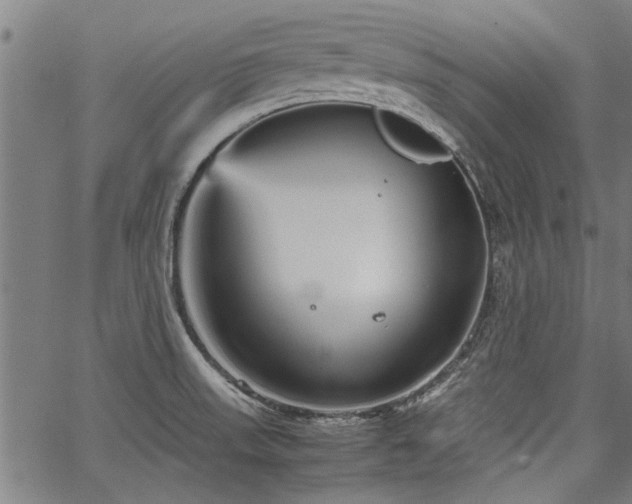 X0000067481523200604071126