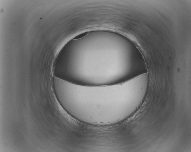 X0000067481524200604071126