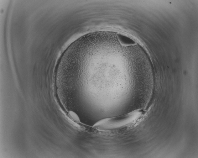 X0000067481525200604071126