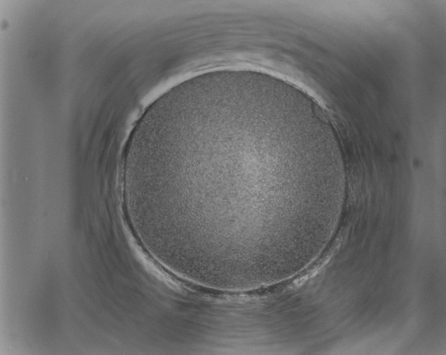 X0000067481526200604071126