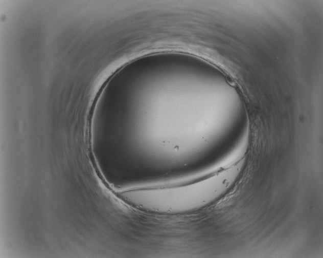 X0000067481527200604071126