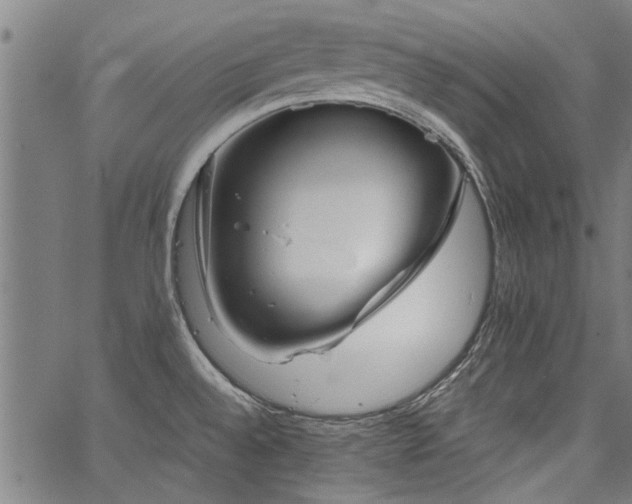 X0000067481528200604071126