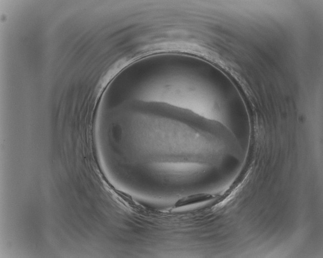 X0000067481529200604071126