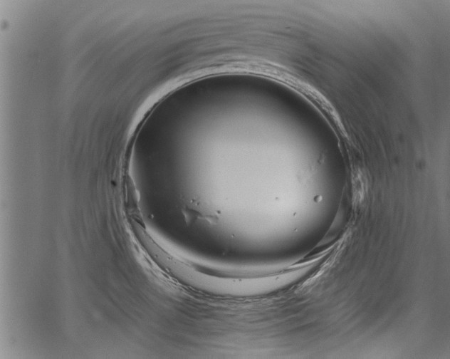 X0000067481530200604071126