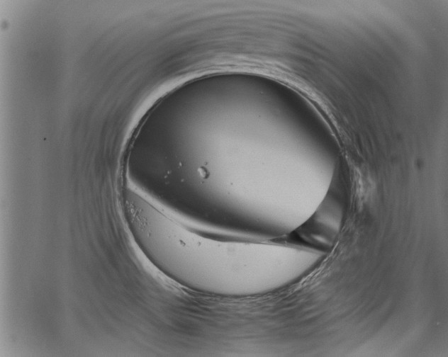 X0000067481531200604071126