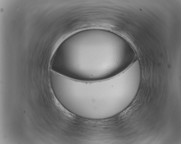 X0000067481532200604071126