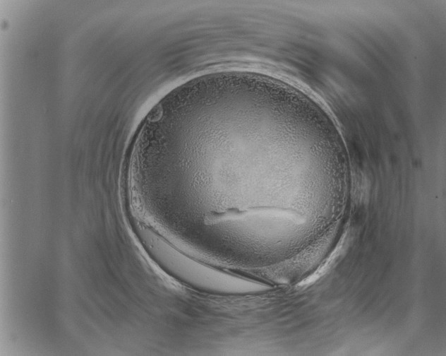 X0000067481533200604071126