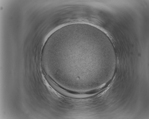 X0000067481534200604071126