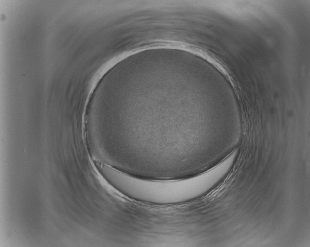 X0000067481535200604071126