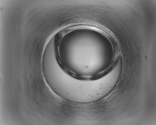 X0000067481536200604071126