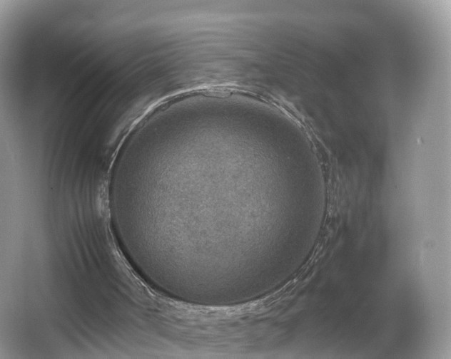 X0000067480002200604101241